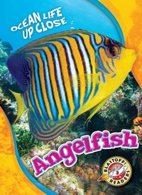 Enlarge image Cover: Angelfish - Blastoff! Readers