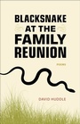 Cover: Blacksnake at the Family Reunion - Penguin Random House South Africa