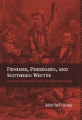 Cover: Fenians, Freedmen, and Southern Whites - Princeton University Press