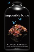 Cover: Impossible Bottle - LSU Press