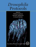 Cover: Drosophila Protocols - Cold Spring Harbor Laboratory Press,U.S.