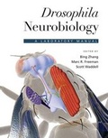 Cover: Drosophila Neurobiology - Cold Spring Harbor Laboratory Press,U.S.