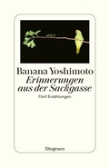 Cover: Erinnerungen aus der Sackgasse - Diogenes
