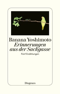 Abbildung von: Erinnerungen aus der Sackgasse - Diogenes