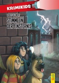 Cover: KrimiKids - Stimme in der Finsternis - G&G Verlag, Kinder- und Jugendbuch