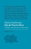 Cover: Isla de Puerto Rico - Vaso Roto Ediciones S.L