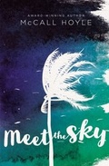 Cover: Meet the Sky - Blink
