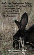 Cover: Reflective Meditations Trilogy - Inspirational Insights Counselling, Inc.