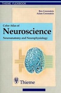 Abbildung von: Color Atlas of Neuroscience - Thieme Publishers