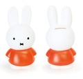 Cover: Miffy Spardose - Diogenes
