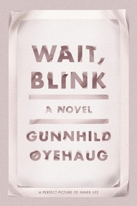 Abbildung von: Wait, Blink - Farrar, Straus and Giroux
