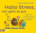 Cover: Hallo Stress, mir geht es gut - K&ouml;sel