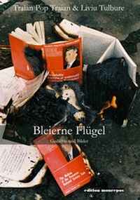 Abbildung von: Bleierne Flügel - Pop, Traian