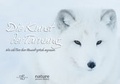 Cover: Die Kunst der Tarnung - Edizioni White Star SrL