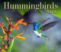 Enlarge image Cover: Hummingbirds 2019 - Firefly Books Ltd