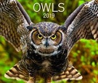 Enlarge image Cover: Owls 2019 - Firefly Books Ltd