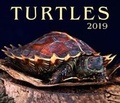 Cover: Turtles 2019 - Firefly Books Ltd