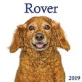 Cover: Rover 2019 - Firefly Books Ltd