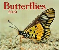 Enlarge image Cover: Butterflies 2019 - Firefly Books Ltd