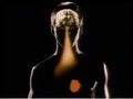 Cover: The Brain Video Modules, Second Edition - Worth Publishers