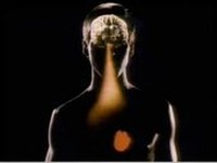Enlarge image Cover: The Brain Video Modules, Second Edition - Worth Publishers
