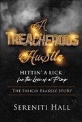 Cover: A Treacherous Hustle - 7 Figure Publications LLC