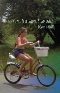 Enlarge image Cover: We are Procession, Seismograph - Nixes Mate Books