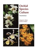 Cover: Orchid Species Culture - Timber Press