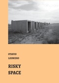 Cover: Risky Spaces - Nhamerica Press LLC