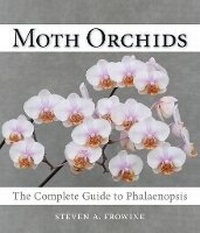 Enlarge image Cover: Moth Orchids - Timber Press