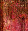 Cover: Andy Richter - Kehrer Verlag
