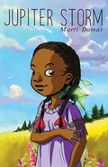 Cover: Jupiter Storm - Plum Street Press (a Division of Yes, Mam Creations)