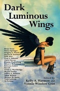 Cover: Dark Luminous Wings - Pole to Pole Publishing