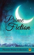 Cover: Prime Fiction - All Chaos Press