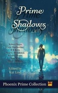 Cover: Prime Shadows - All Chaos Press