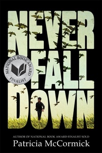 Enlarge image Cover: Never Fall Down - Balzer + Bray