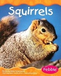 Cover: Squirrels - Capstone Press
