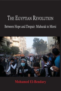 Abbildung von: Egypian Revolution - Algora Publishing