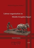 Cover: Labour organisation in Middle Kingdom Egypt - Golden House Publications
