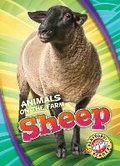 Cover: Sheep - Blastoff! Readers