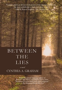 Enlarge image Cover: Between the Lies Volume 3 - Blank Slate Communications