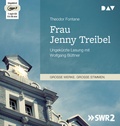 Cover: Frau Jenny Treibel - Der Audio Verlag