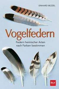 Abbildung von: Vogelfedern - BLV