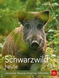 Cover: Schwarzwild heute - BLV