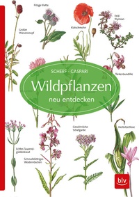 Abbildung von: Wildpflanzen neu entdecken - BLV