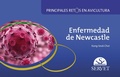 Cover: Enfermedad de Newcastle. Principales Retos En Avicultura - Servet