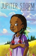 Cover: Jupiter Storm - Plum Street Press (a Division of Yes, Mam Creations)