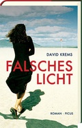 Cover: Falsches Licht - Picus Verlag
