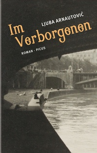 Abbildung von: Im Verborgenen - Picus Verlag