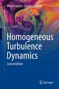 Cover: Homogeneous Turbulence Dynamics - Springer